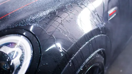 A. CanCoatEVO #4.webp