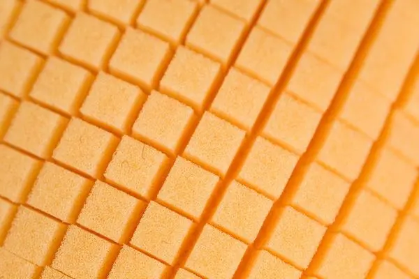 scholl_concepts_spider_pad.webp