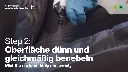Pol Star 2.webp