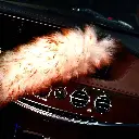 p1081945-1.webp