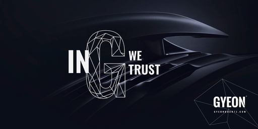 [GCBIGWT200x100] Banner / In G we trust